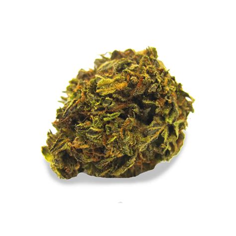 Rolls Choice Strain – Weed.com